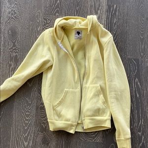 Aritzia hoodie